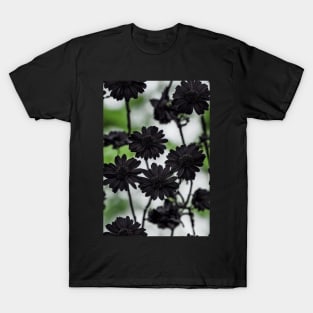 Beautiful Black Flowers, for all those who love nature #82 T-Shirt